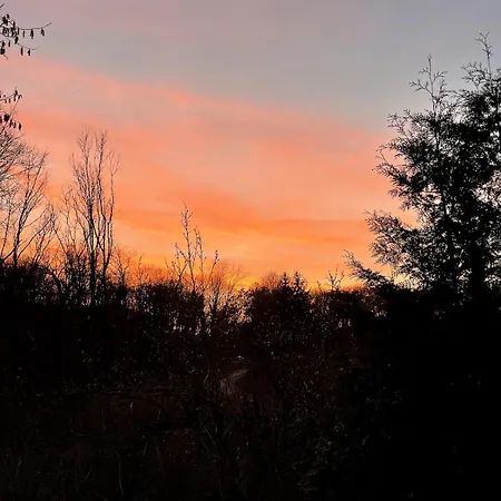 Ruhiges Haeuschen Am Wald Mit Kamin, Terrasse Hébergement de vacances Bucha (Burgenlandkreis)