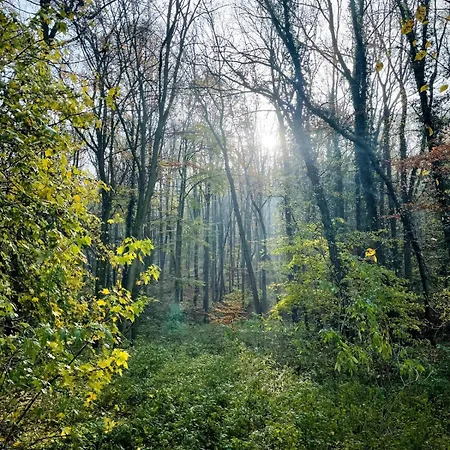 Hébergement de vacances Ruhiges Haeuschen Am Wald Mit Kamin, Terrasse