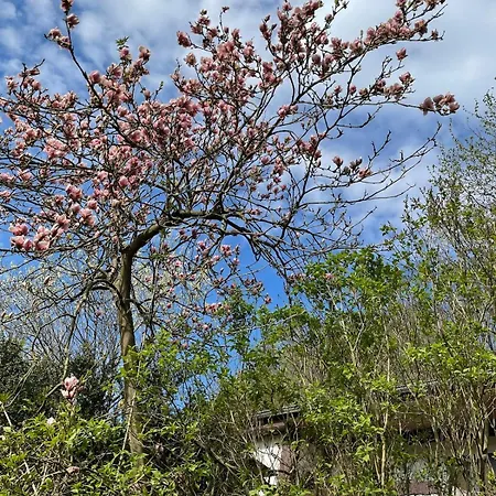 Hébergement de vacances Ruhiges Haeuschen Am Wald Mit Kamin, Terrasse *