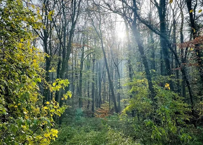 Tatil Evi Ruhiges Haeuschen Am Wald Mit Kamin, Terrasse