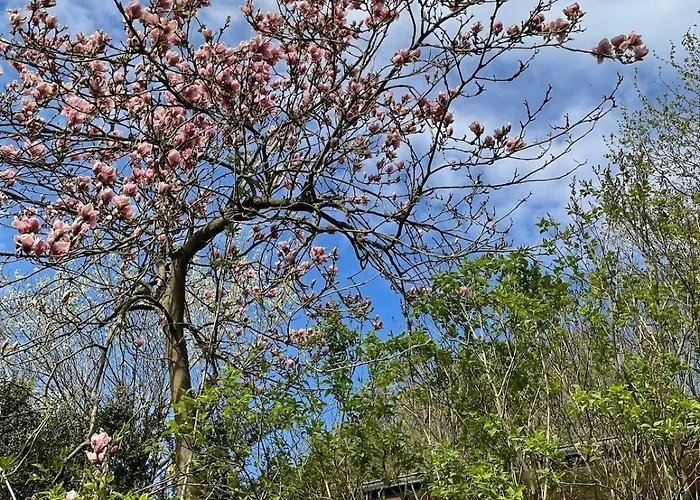 Σπίτι διακοπών Ruhiges Haeuschen Am Wald Mit Kamin, Terrasse *